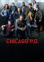 Полиция Чикаго смотреть онлайн сериал 1-10 сезон