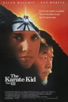 Парень-каратист 3 смотреть онлайн (1989)