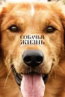 Собачья жизнь смотреть онлайн (2017)