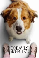 Собачья жизнь 2 смотреть онлайн (2019)
